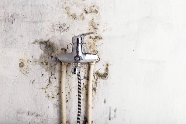 Helena Valley West Central, MT Mold Remediation Company