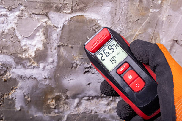 Best DIY Mold Remediation Support Services in Helena Valley West Central, MT