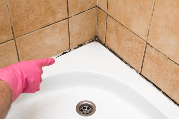Best HVAC Mold Remediation in Helena Valley West Central, MT